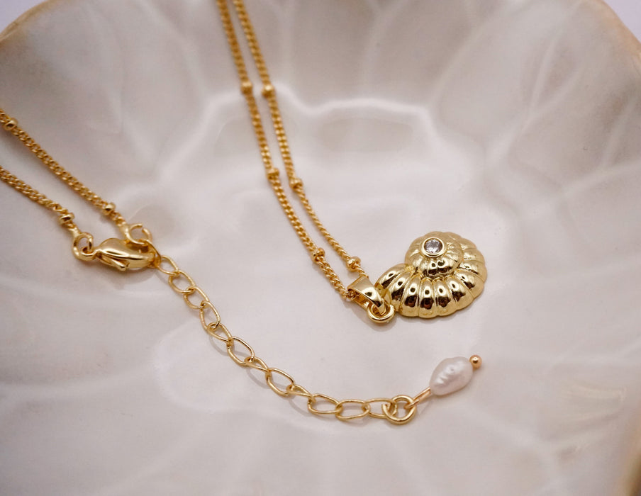Wayfinder Shell Necklace