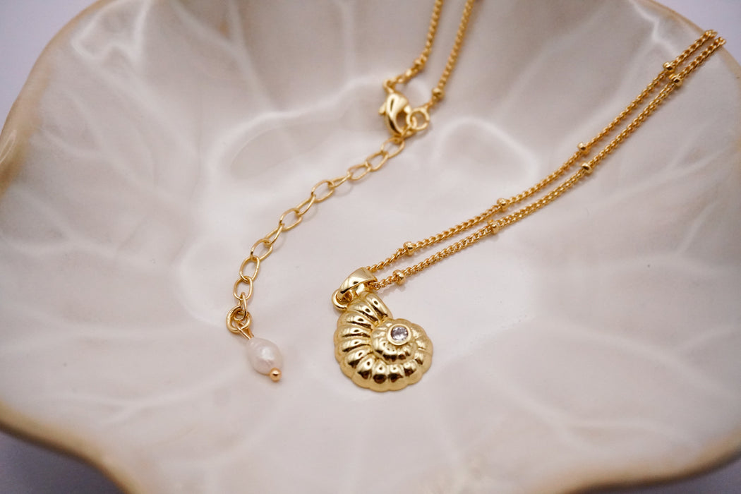 Wayfinder Shell Necklace