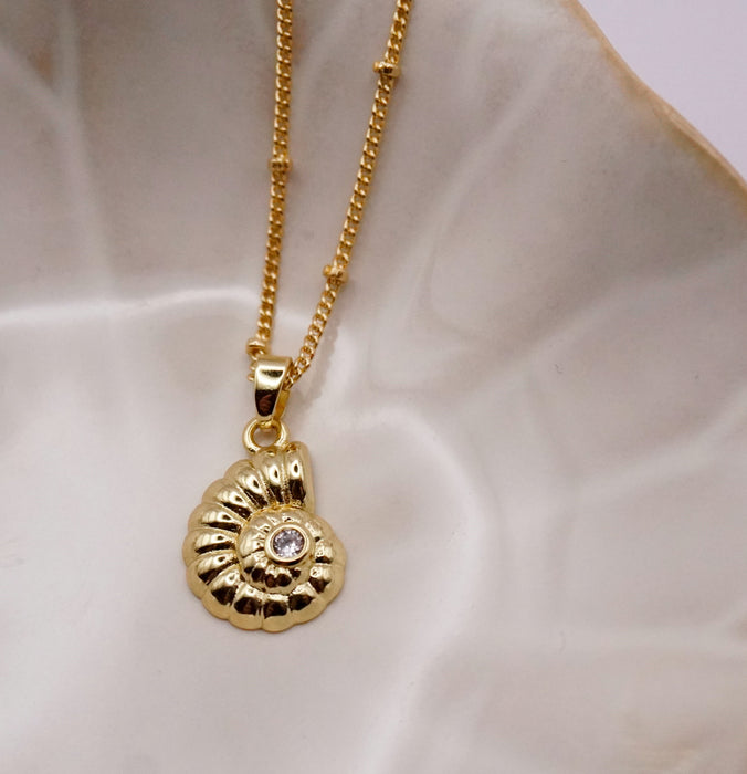 Wayfinder Shell Necklace